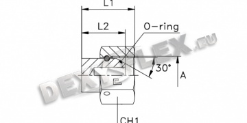 Produse / Fitinguri pentru conducte / BSI 5200 carbon / Dop mama cu bol swivel BSP