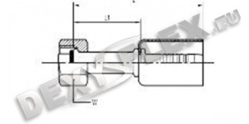 Fitinguri / Fitinguri pentru aer conditionat / Drept o-inel femelă RS
